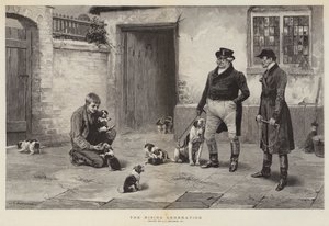 La génération montante